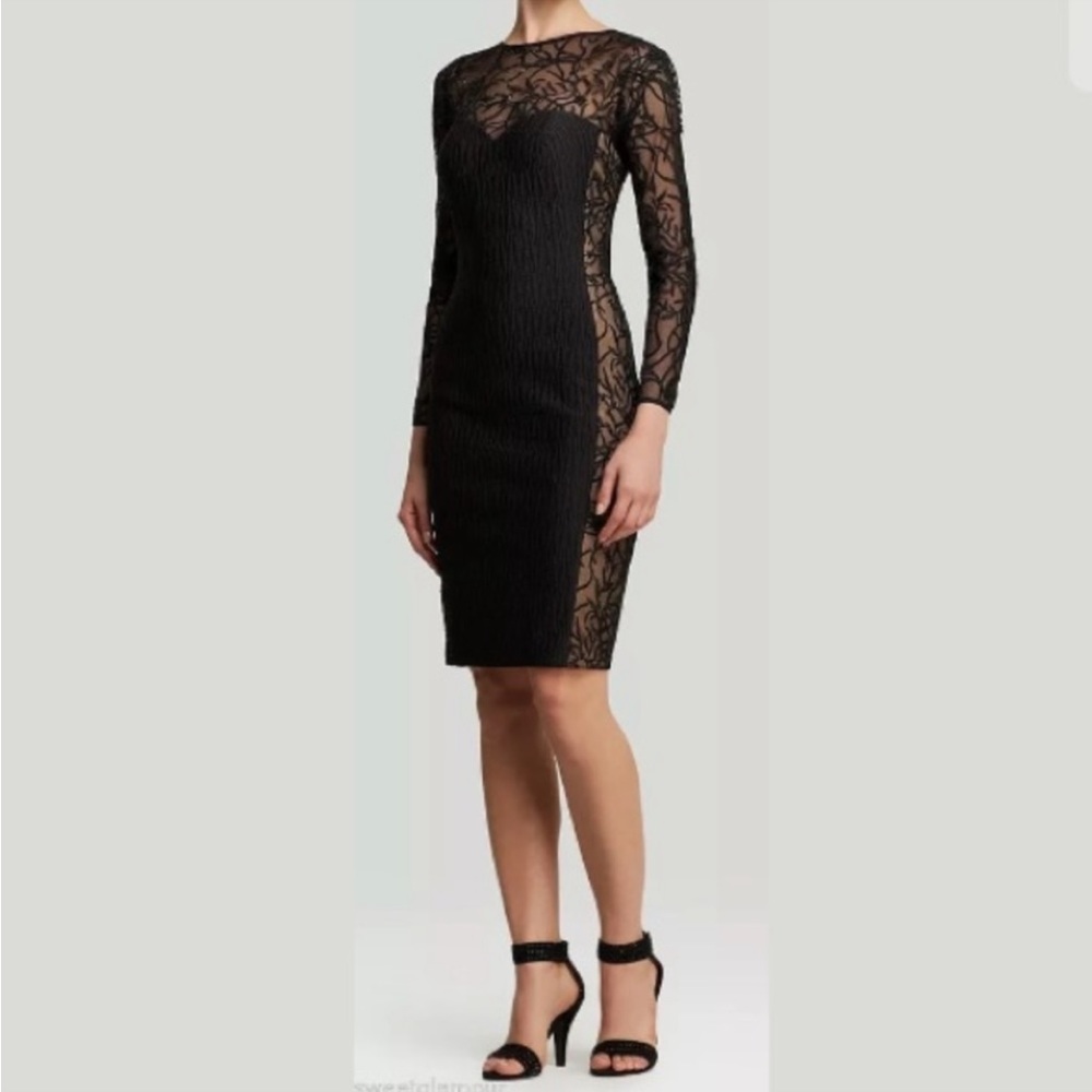 Tadashi Shoji Lace Illusion Dress, Size S